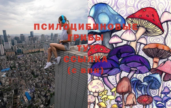 ECSTASY Алексеевка